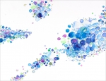 Melting Ice 1